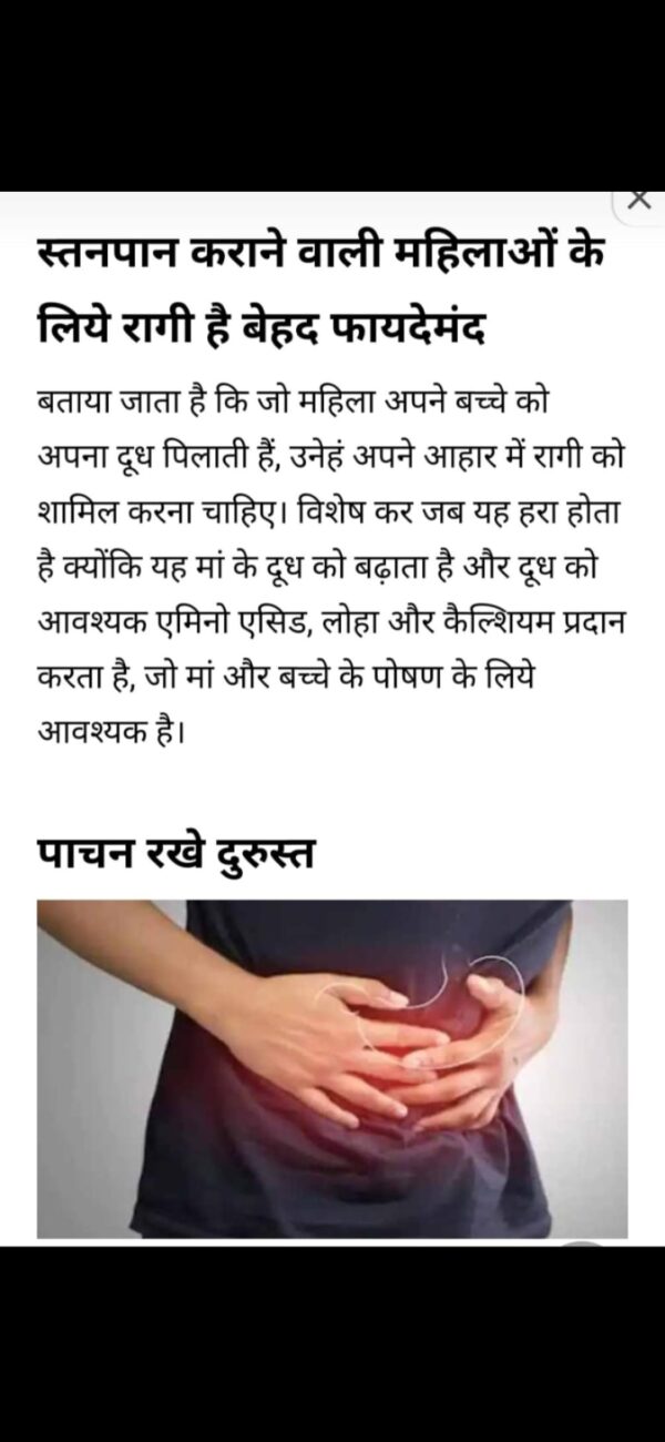 RAGI/NACHANI/MADIYA - Image 2